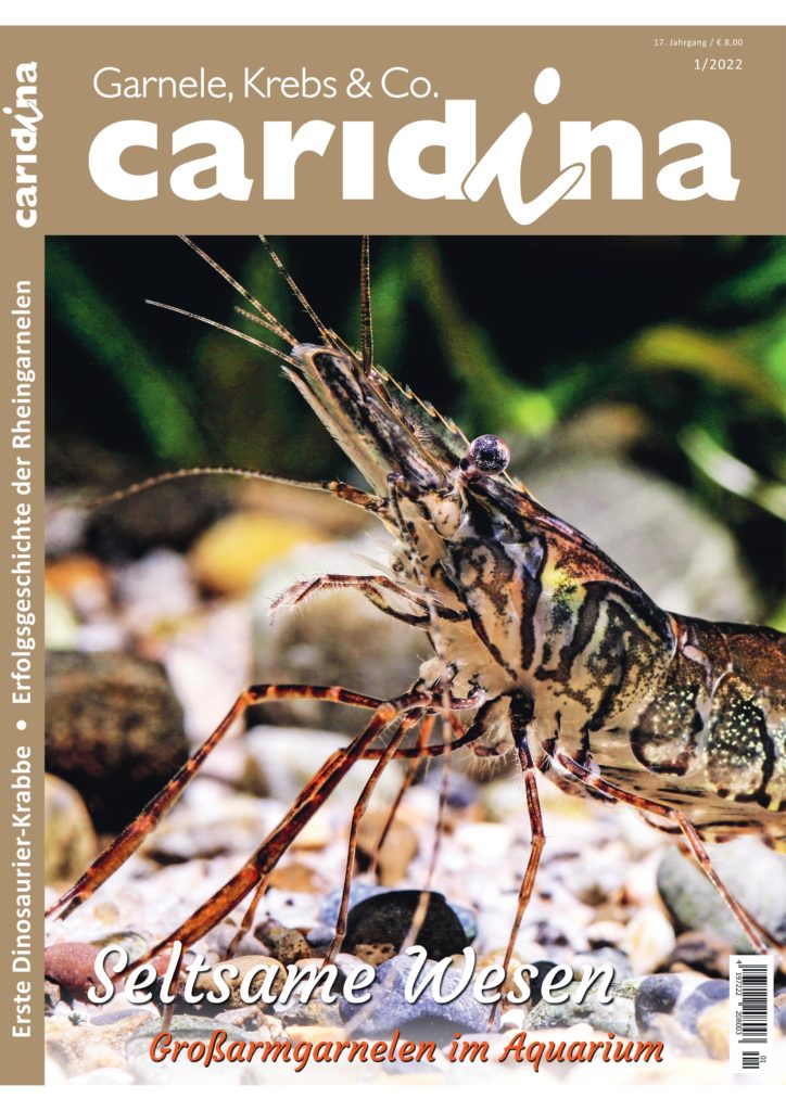 Caridina Aqualog De